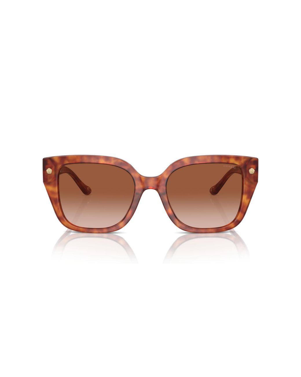 COACH Black Sunglass Cr611