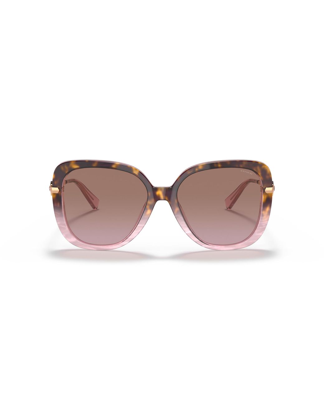 COACH Black Hc8320 Sunglasses