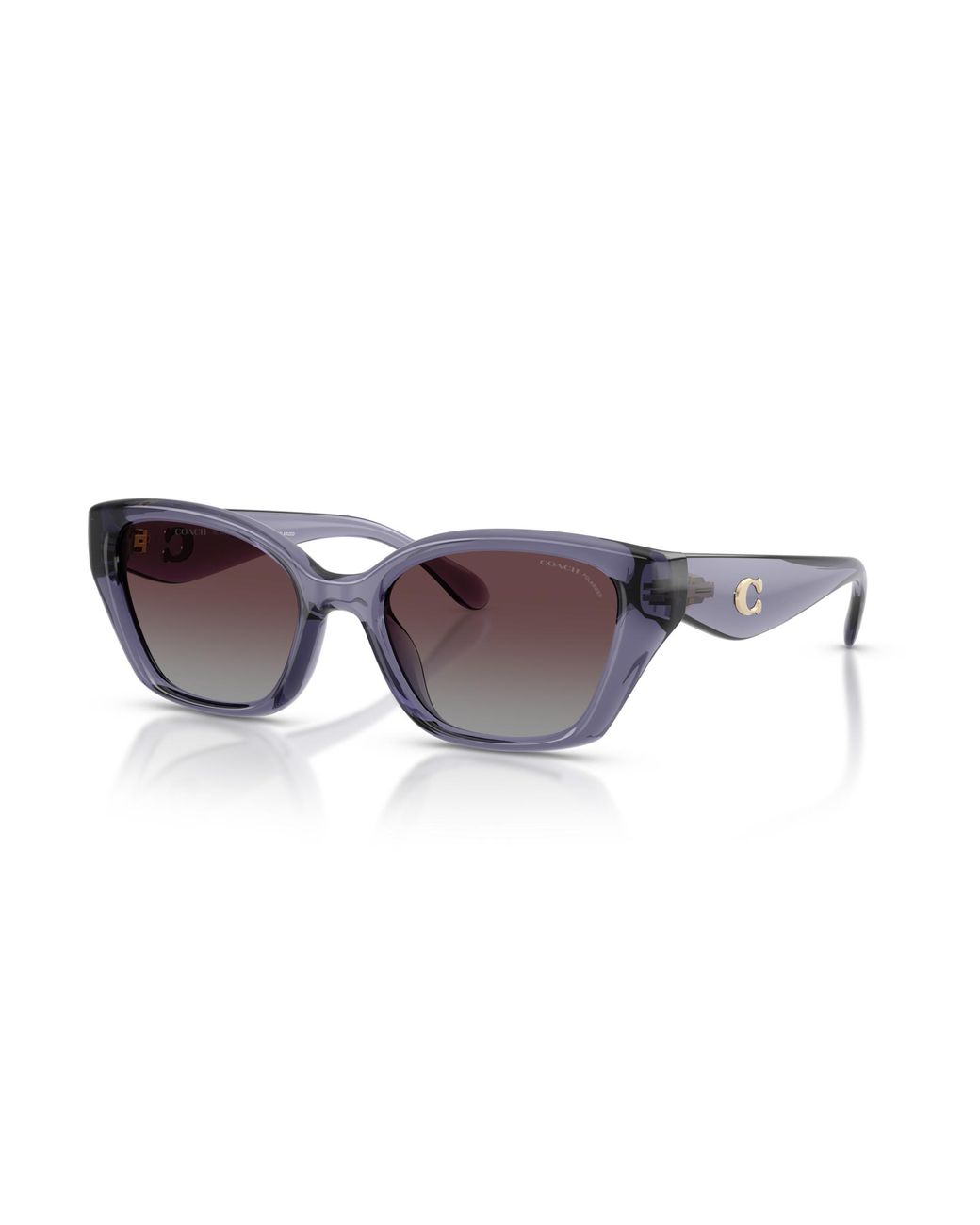 COACH Black Sunglass Cby91