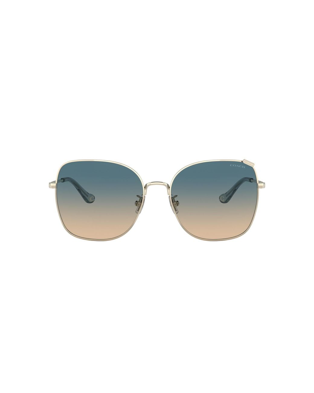 COACH Black Hc7133 Sunglasses