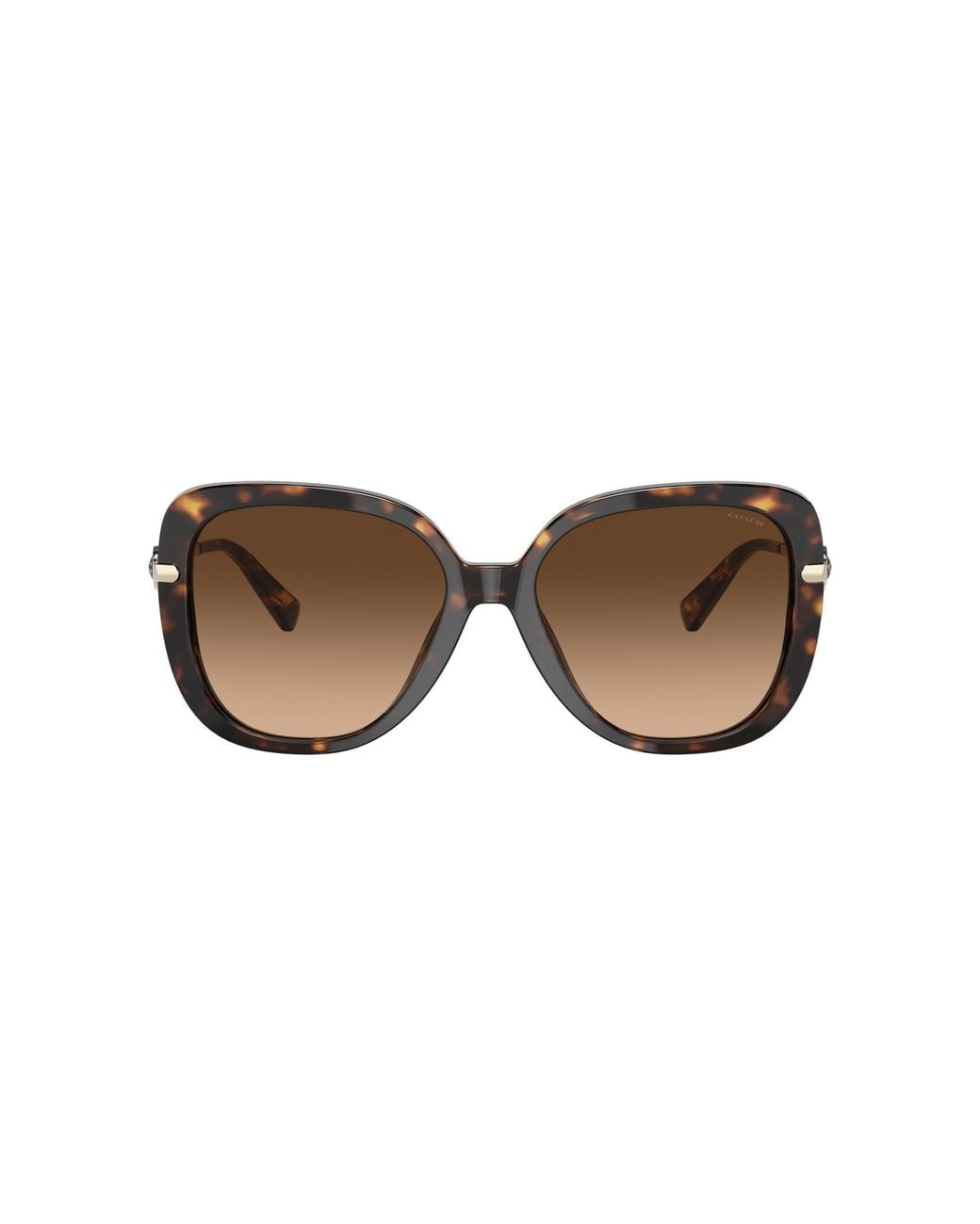 COACH Black Sunglass HC8320 C6180