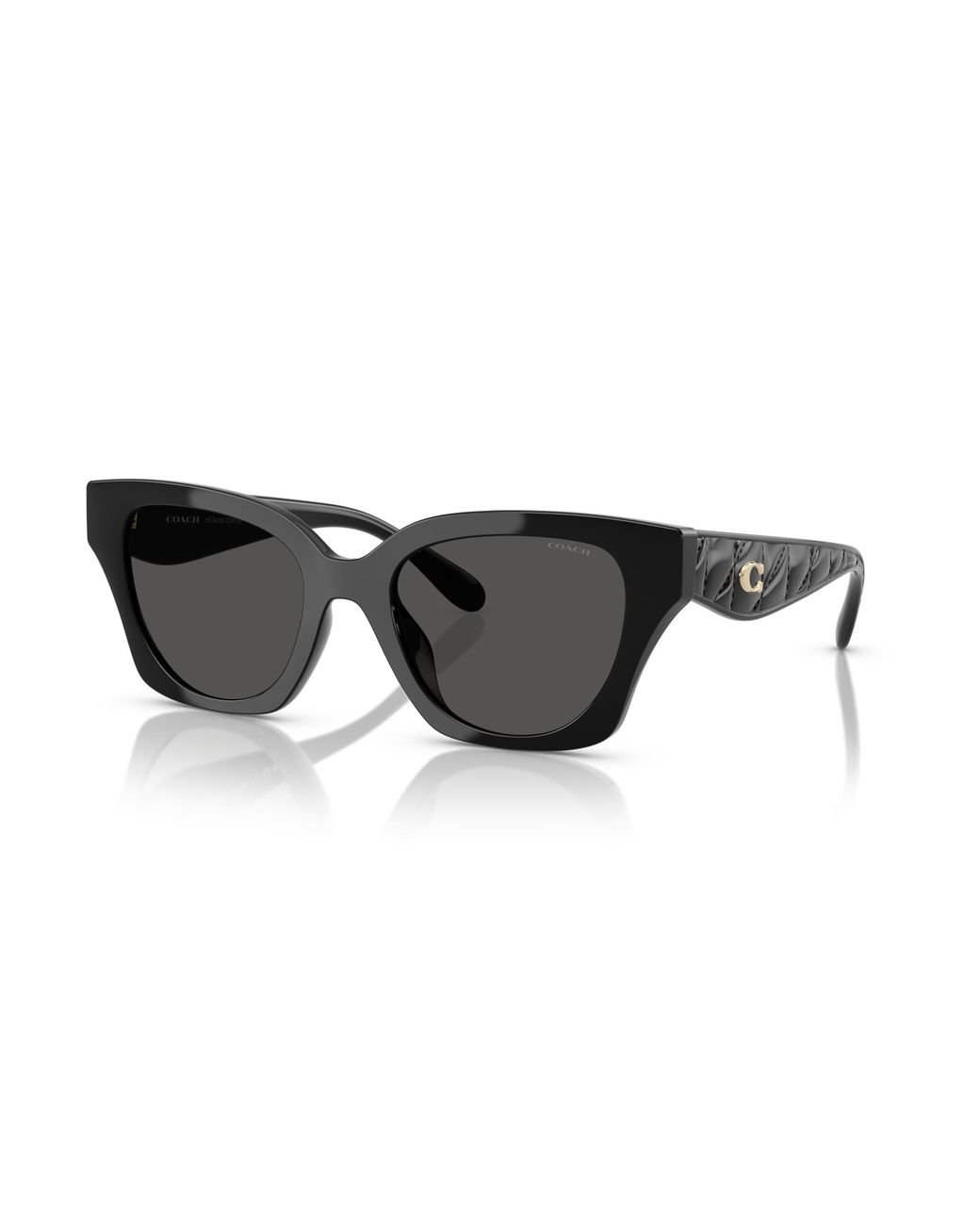 COACH Black Sunglass Cad18