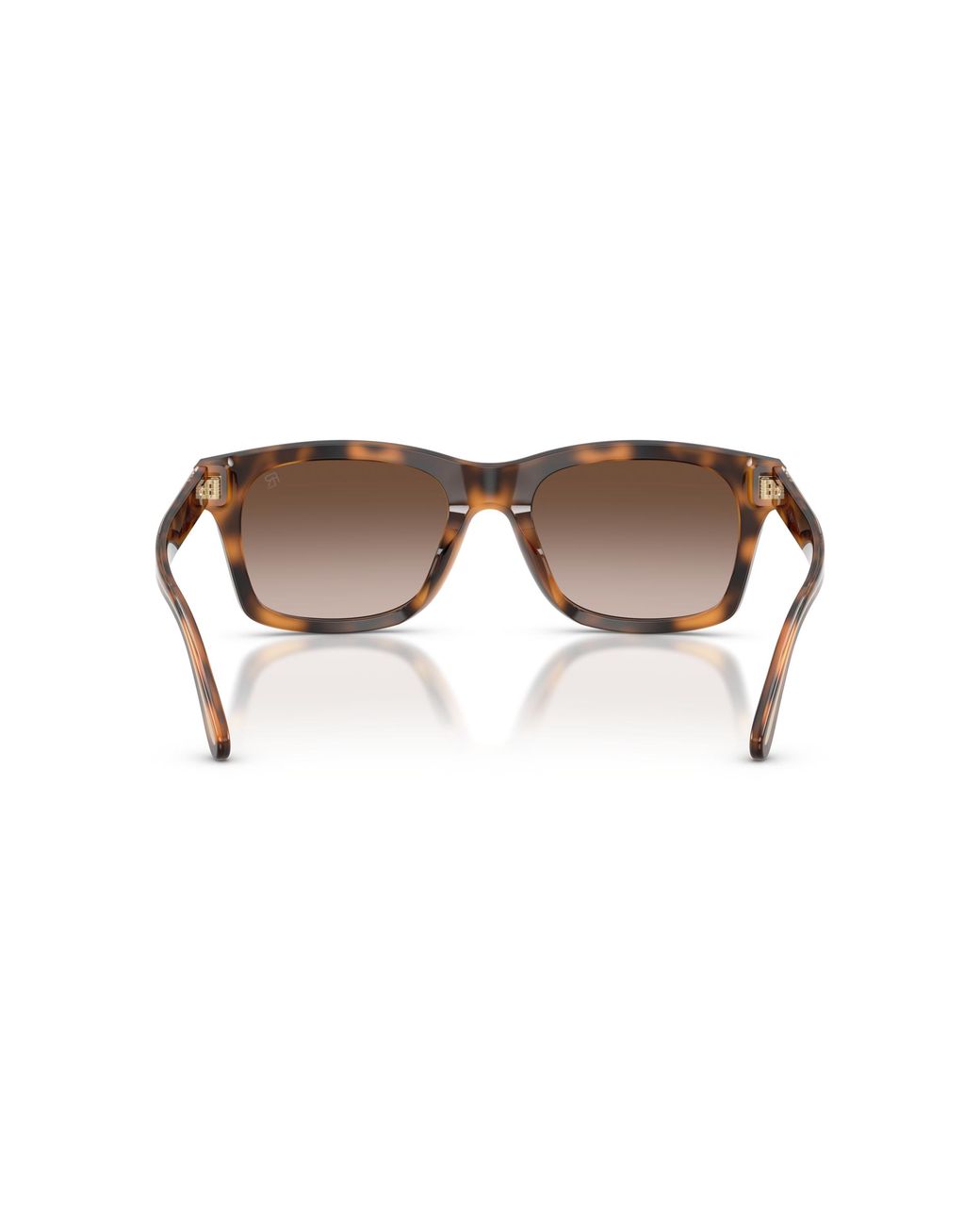 Ralph Lauren Black Sunglass Rl8237u