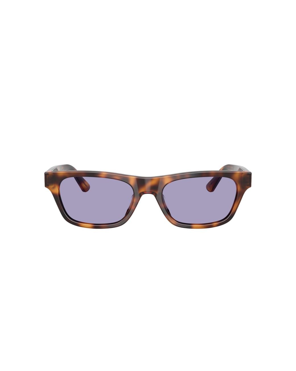 Polo Ralph Lauren Black Sunglass Ph4238u
