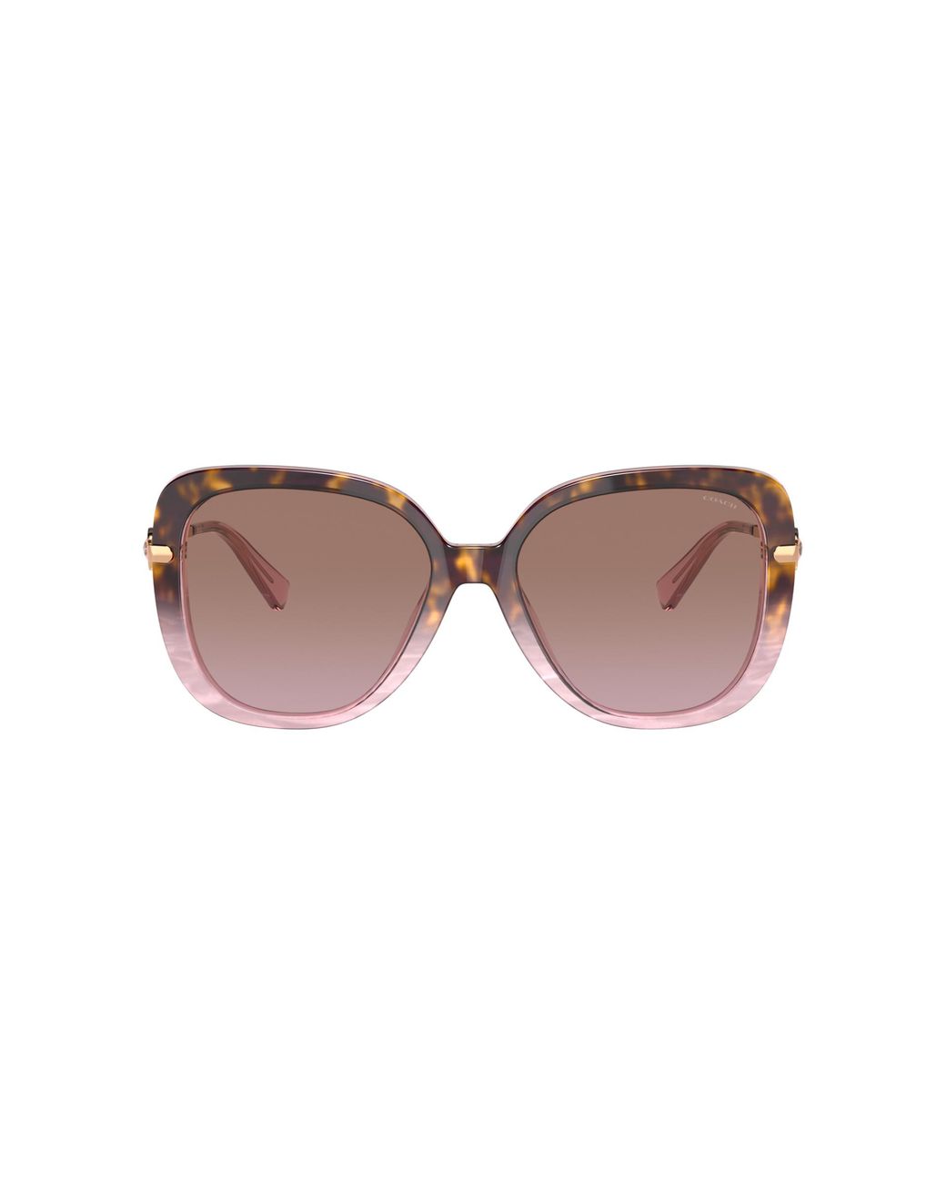 COACH Black Hc8320 Sunglasses