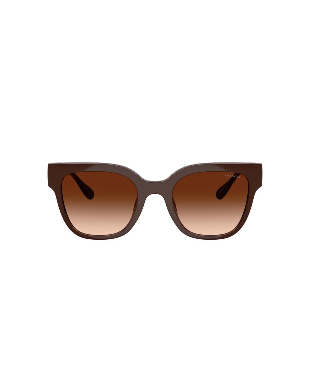 COACH Black Sunglass Cft88