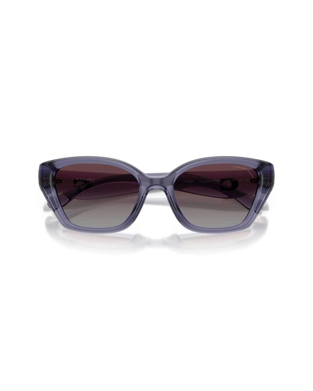 COACH Black Sunglass Cby91