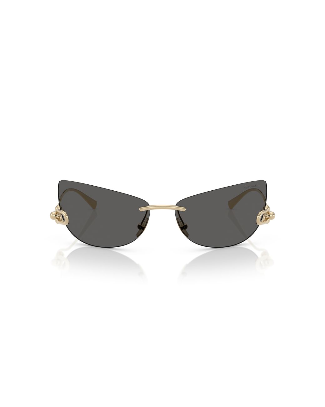 Tiffany & Co Black Sunglass Tf3112k