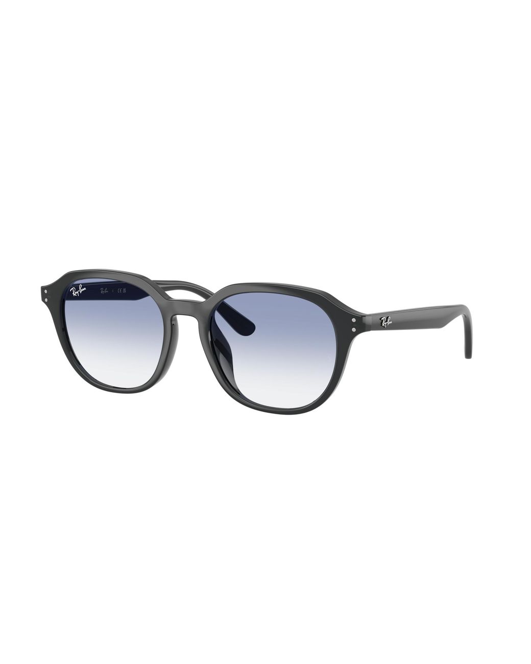 Ray-Ban Black Ray