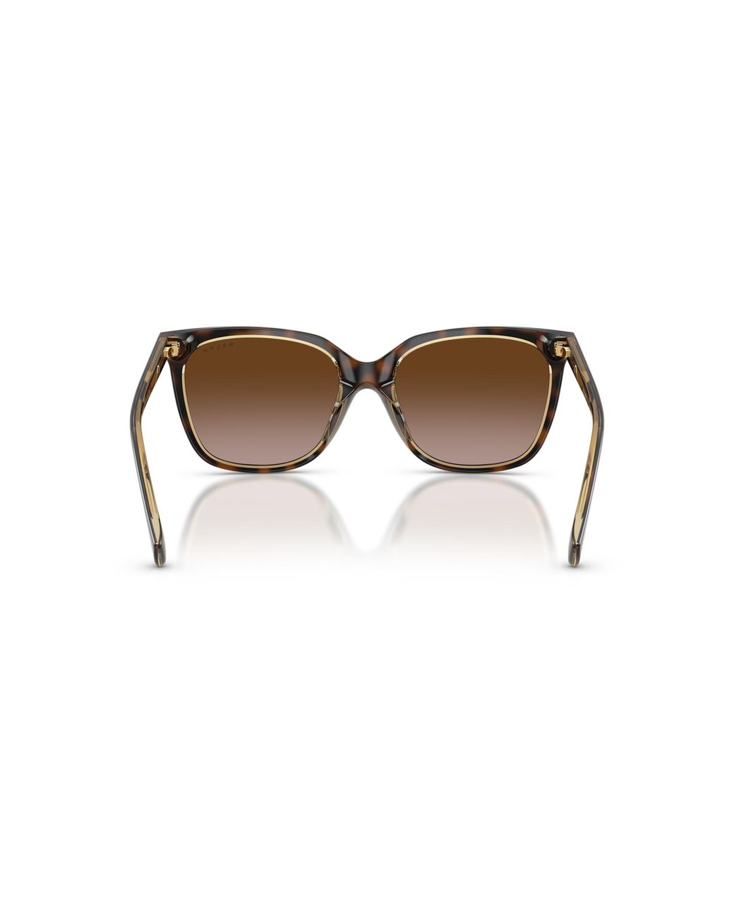 Ralph Black Sunglass Ra5343u