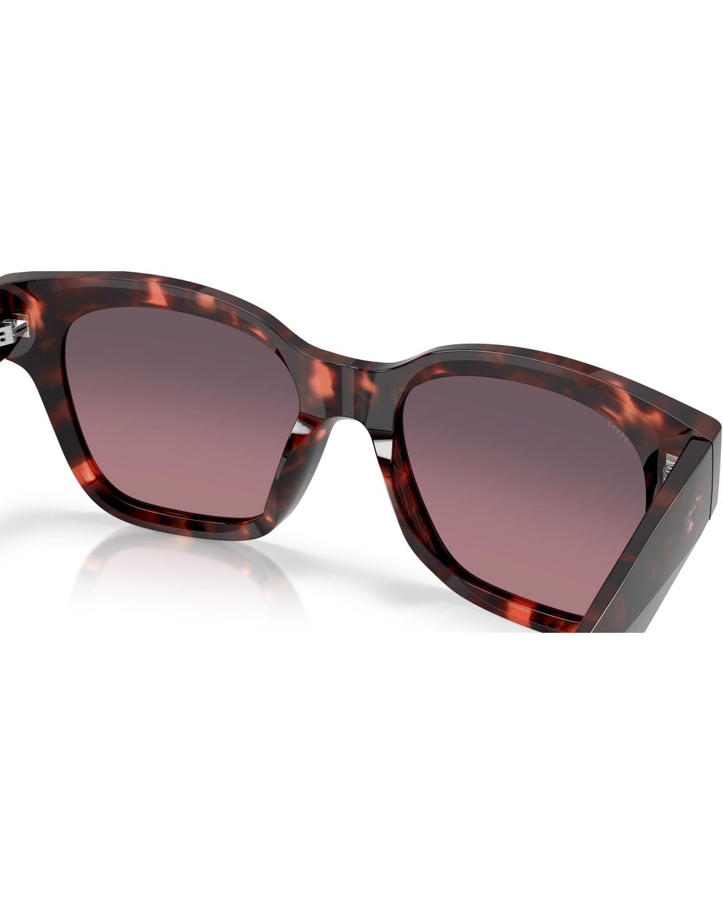Costa Black Sunglass Nusa
