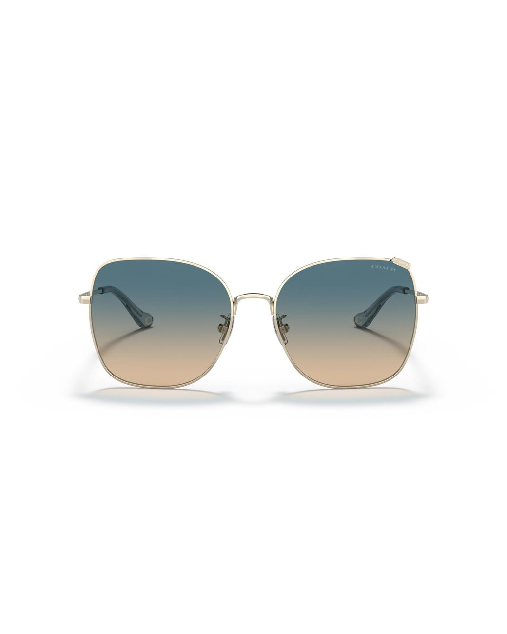 COACH Black Hc7133 Sunglasses