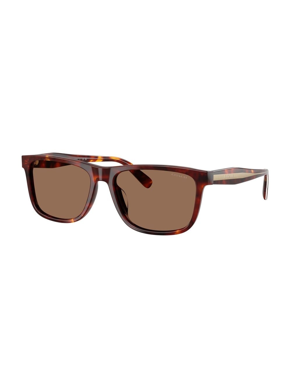 COACH Black Sunglass Cdp55 for men
