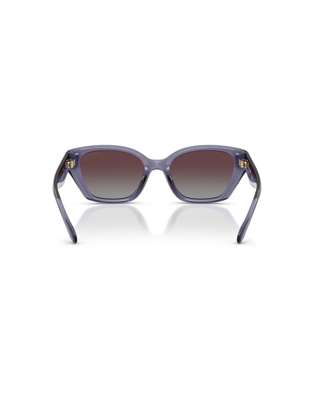 COACH Black Sunglass Cby91