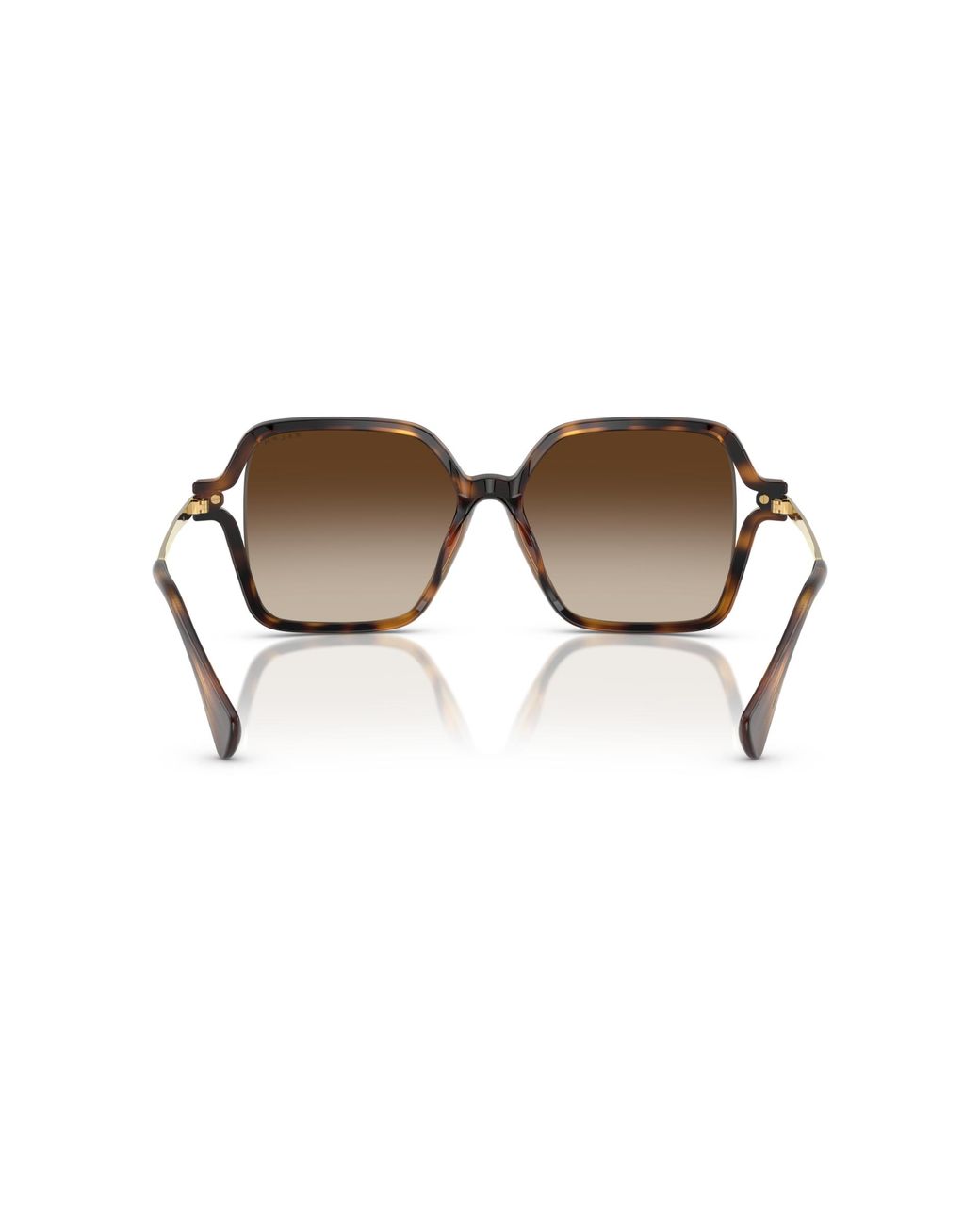Ralph Black Sunglass Ra5319u