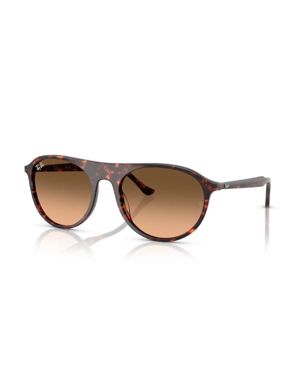 Ray-Ban Black Ray