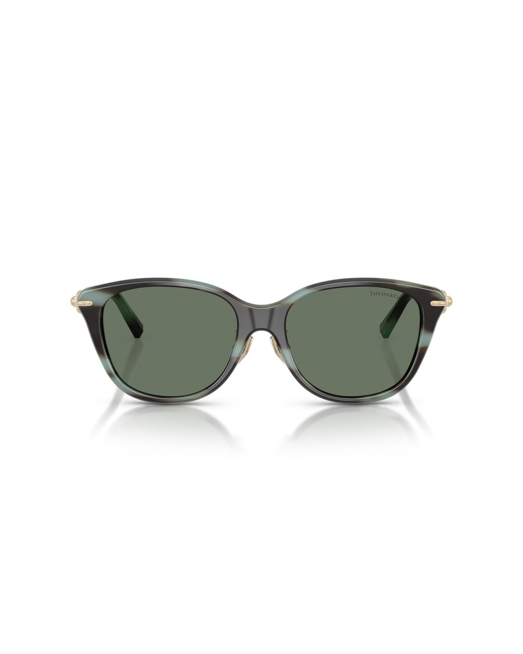 Tiffany & Co Black Sunglass Tf4267f