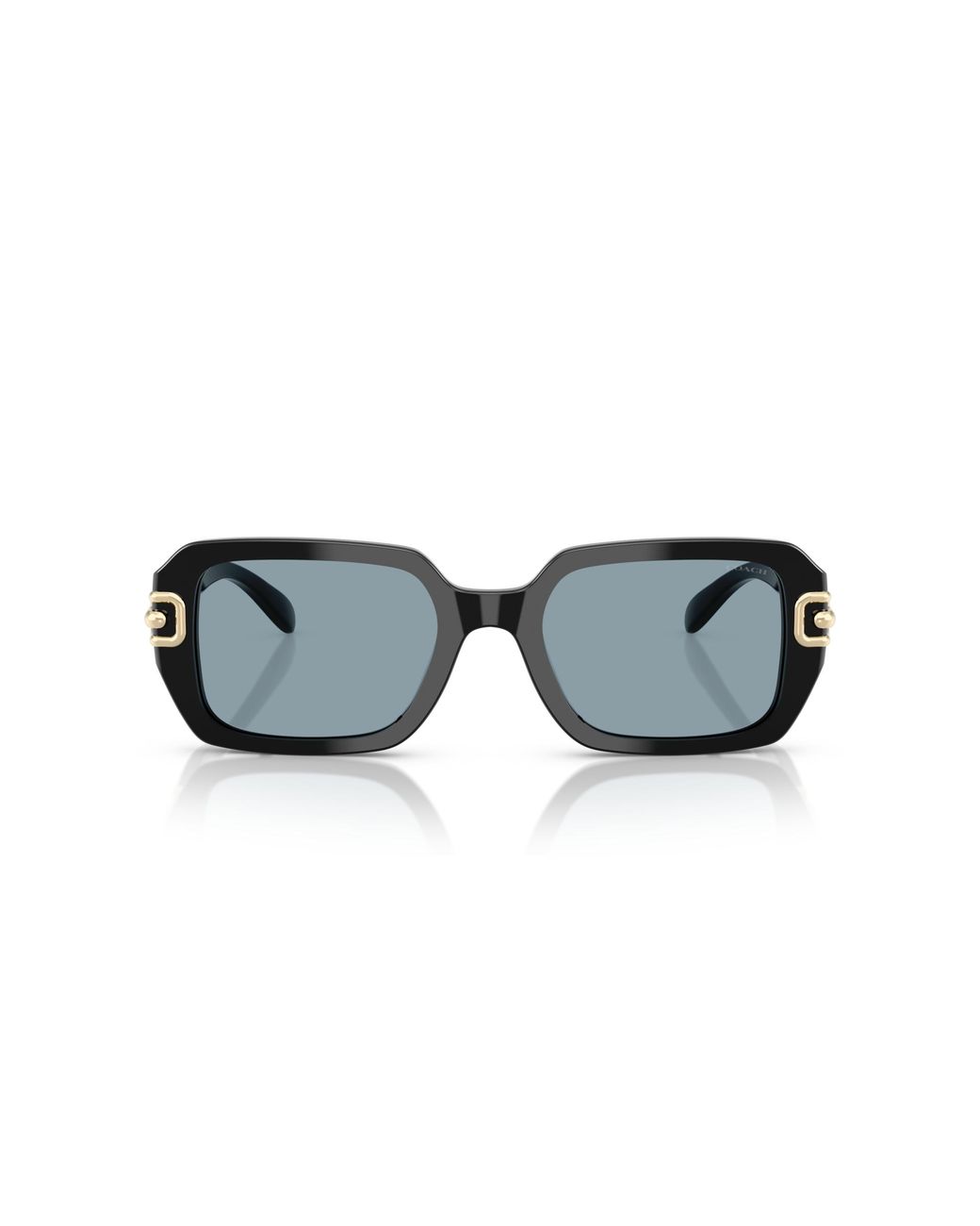 COACH Black Sunglass Cad74