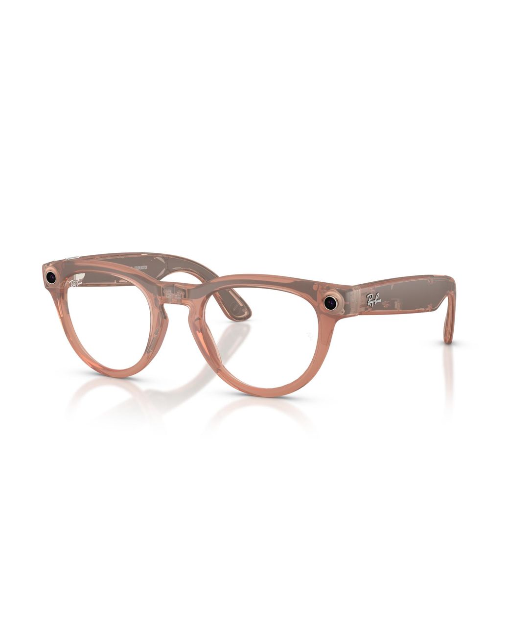 Ray-Ban Black Meta Frame Brown Lenses Ai Glasses