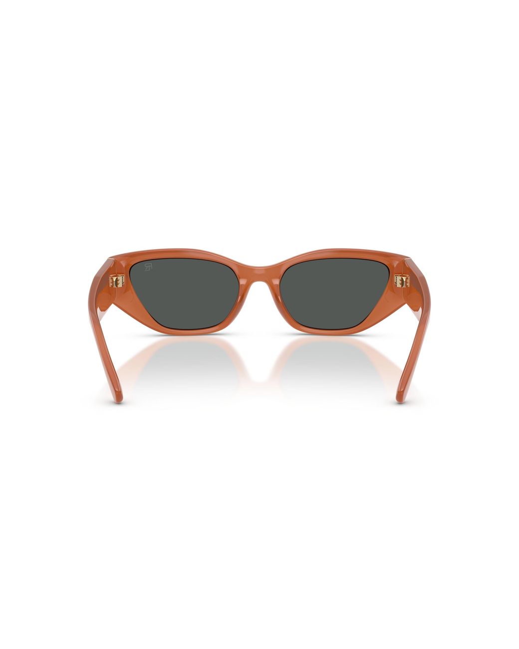 Ralph Lauren Black Sunglass Rl8231u