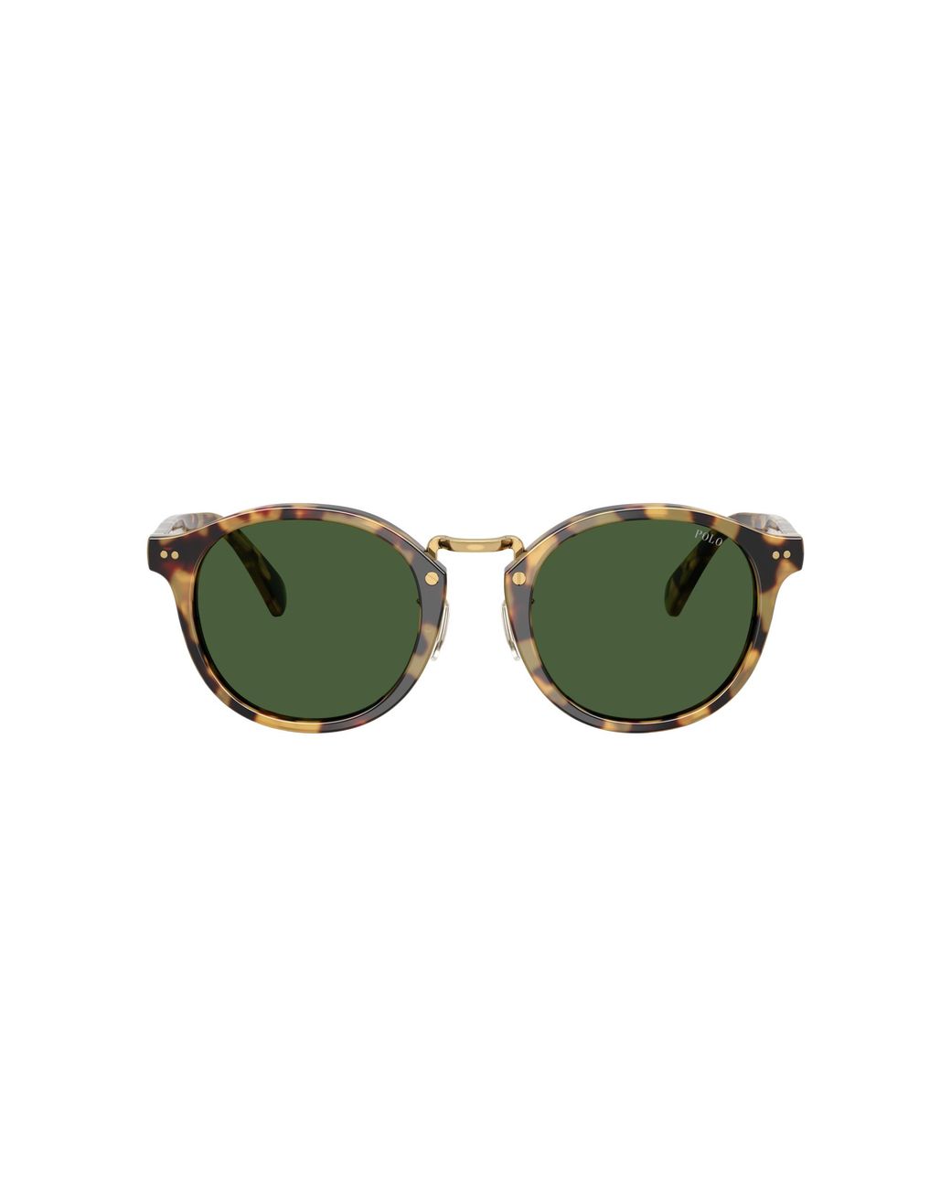 Polo Ralph Lauren Green Sunglass Ph4230 for men