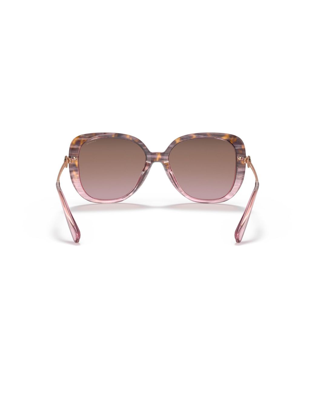 COACH Black Hc8320 Sunglasses