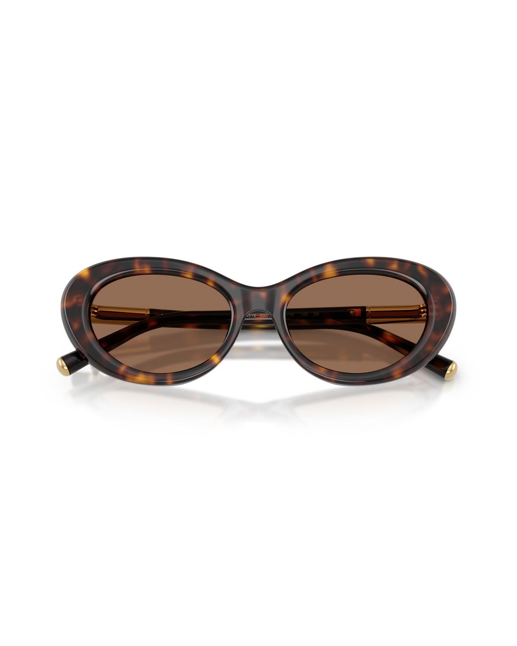 Dolce & Gabbana Black Dg4519
