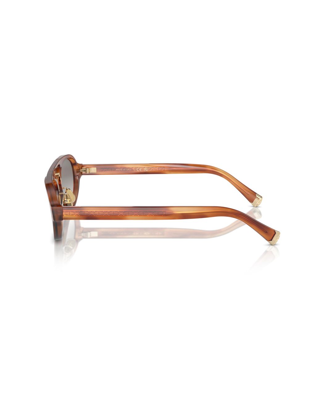 Brunello Cucinelli Black Sunglasses Bc4008S