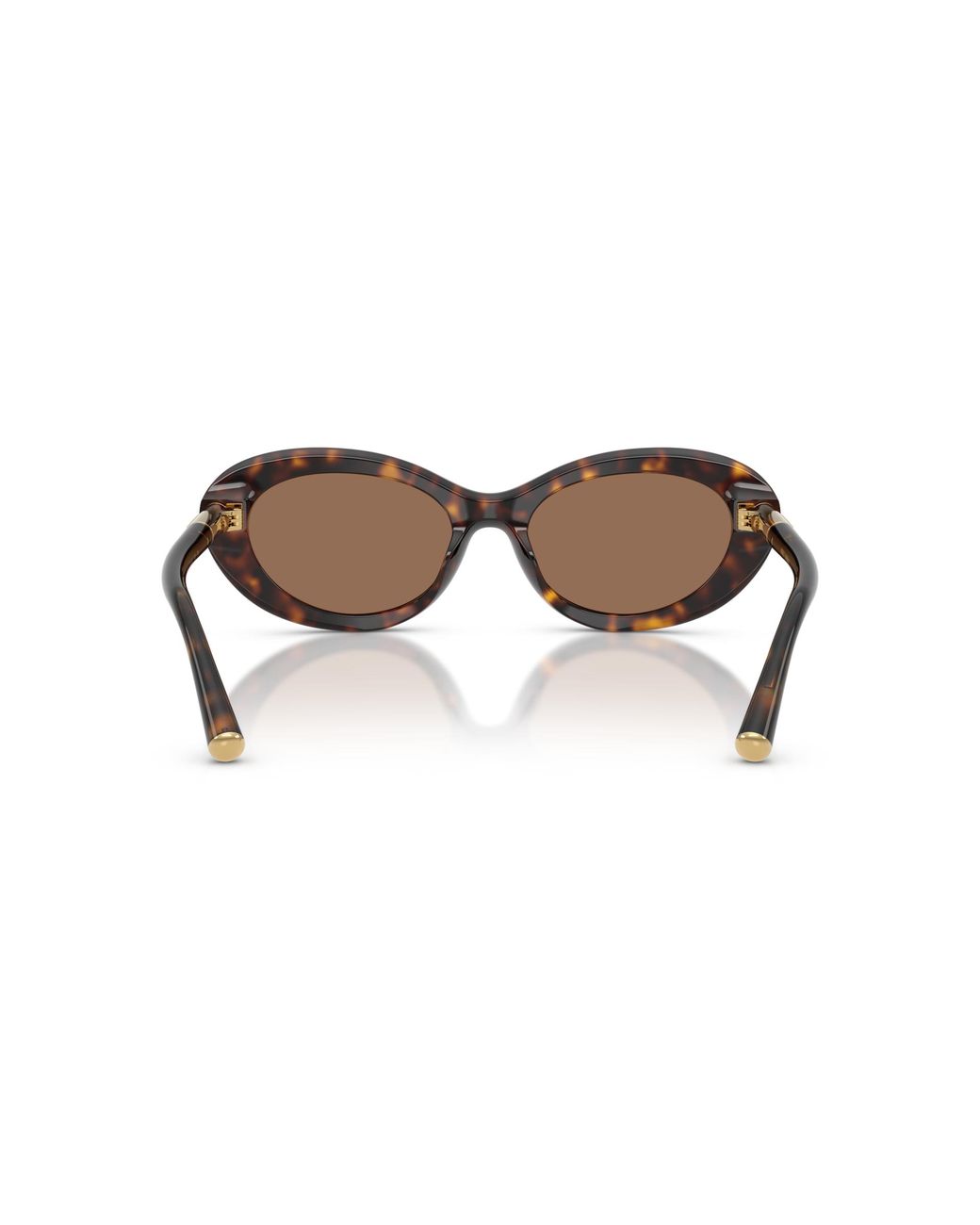 Dolce & Gabbana Black Dg4519