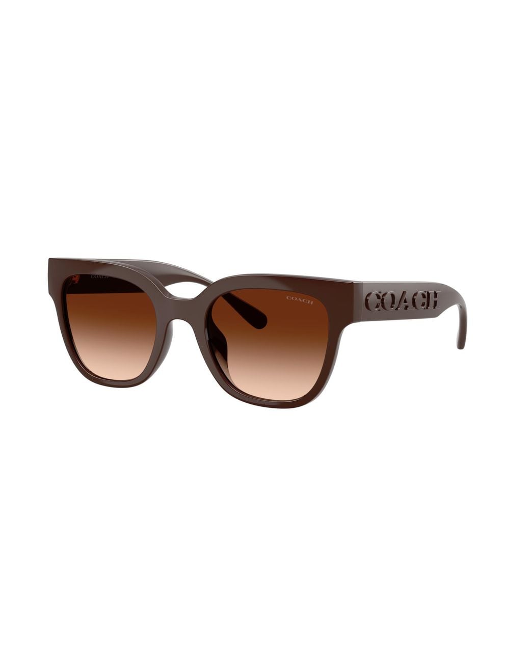 COACH Black Sunglass Cft88