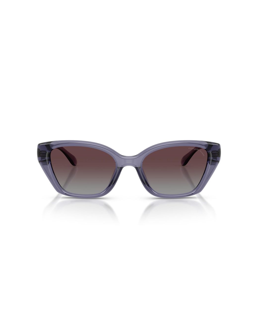 COACH Black Sunglass Cby91