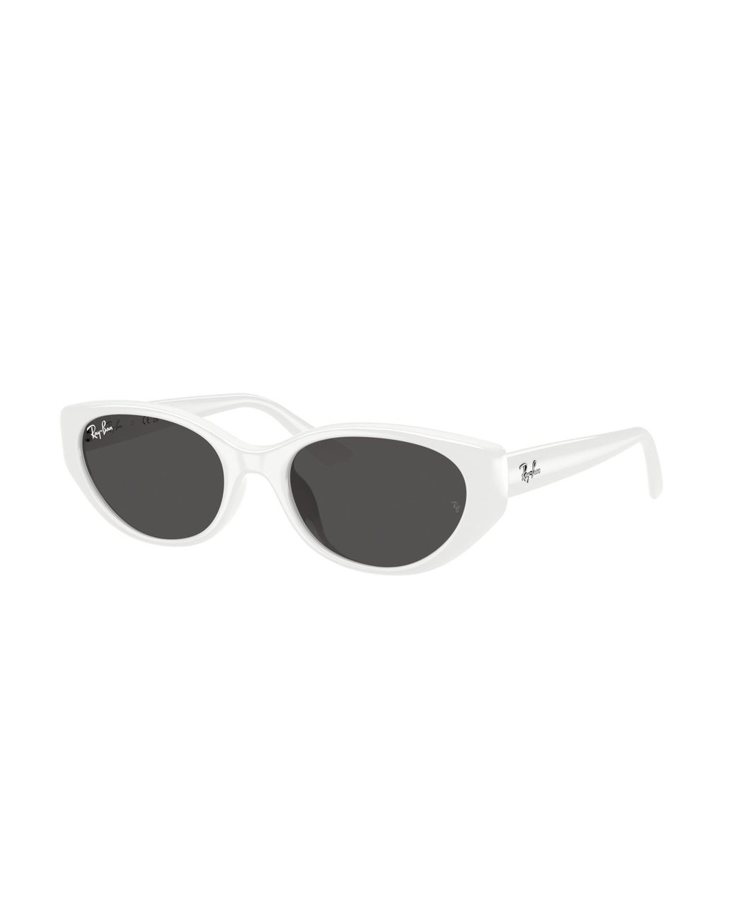 Ray-Ban Black Ray