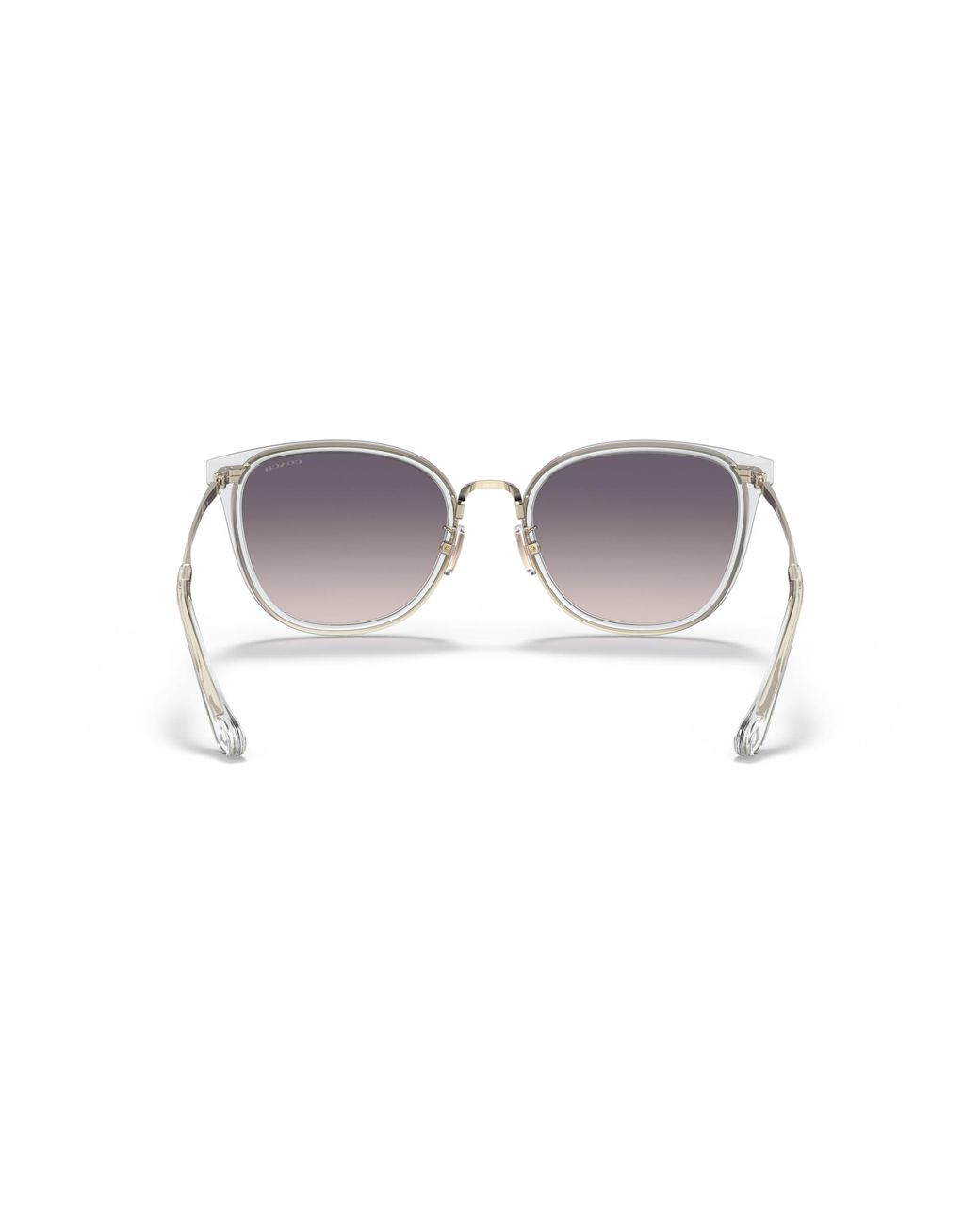 COACH Multicolor Sunglass C7999