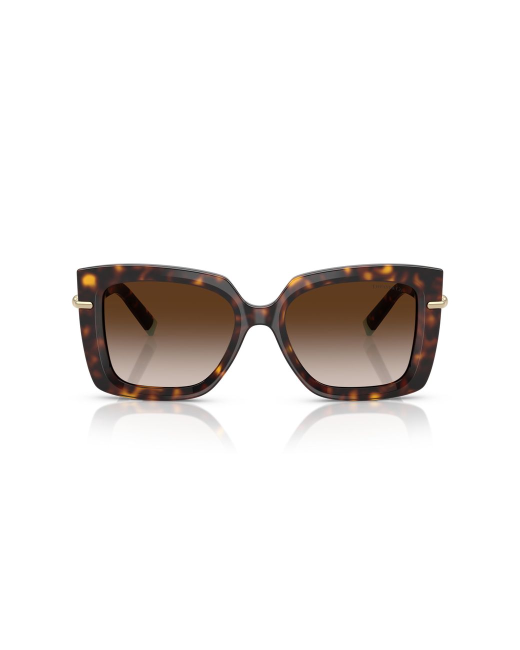 Tiffany & Co Black Sunglass Tf4199