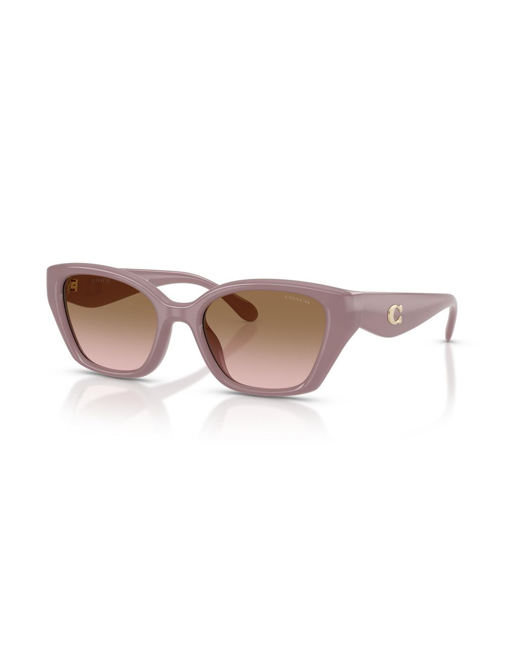 COACH Black Sunglass Cby91