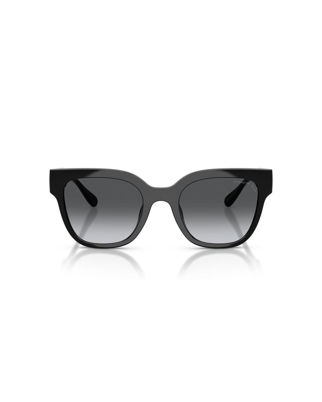 COACH Black Sunglass Cft88