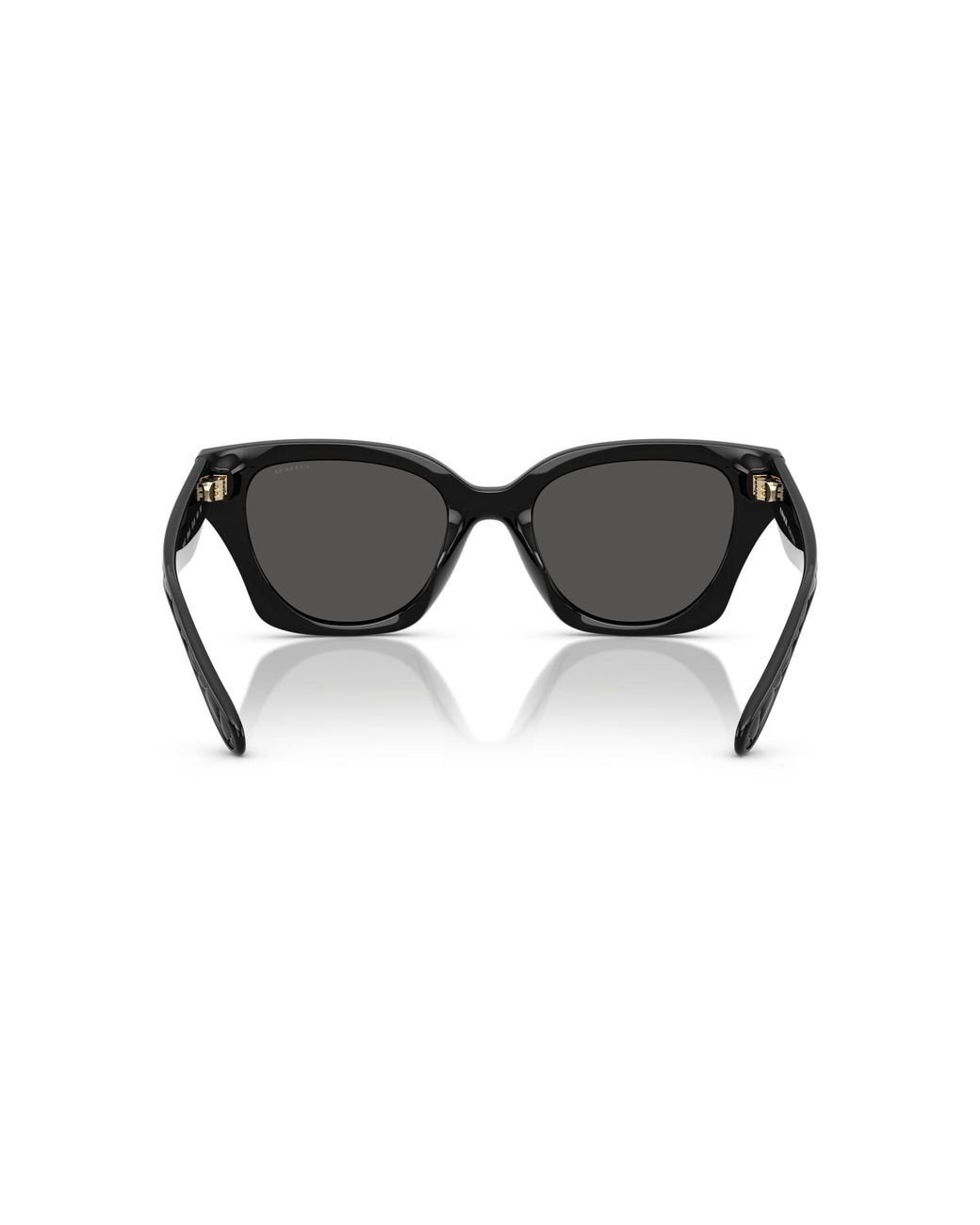 COACH Black Sunglass Cad18