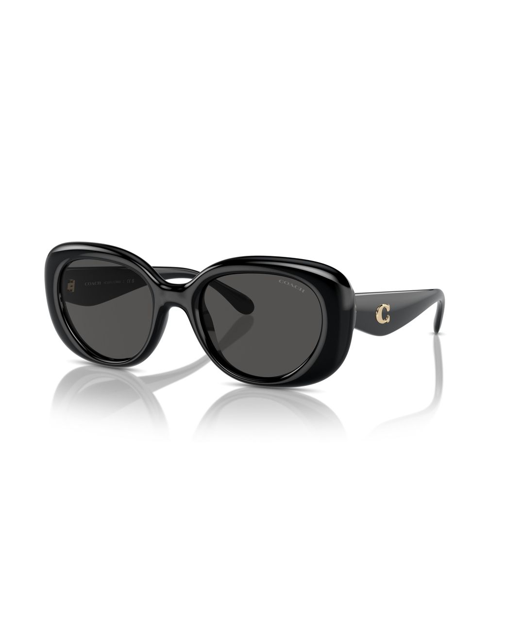 COACH Black Sunglass Hc8391u Cr609