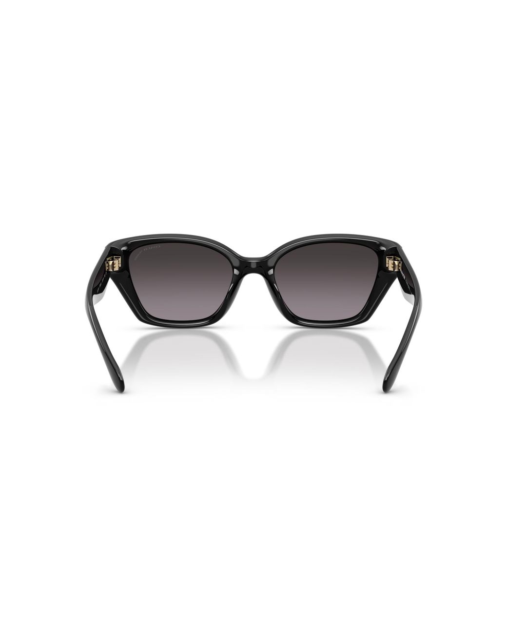 COACH Black Sunglass Hc8434u Cby91