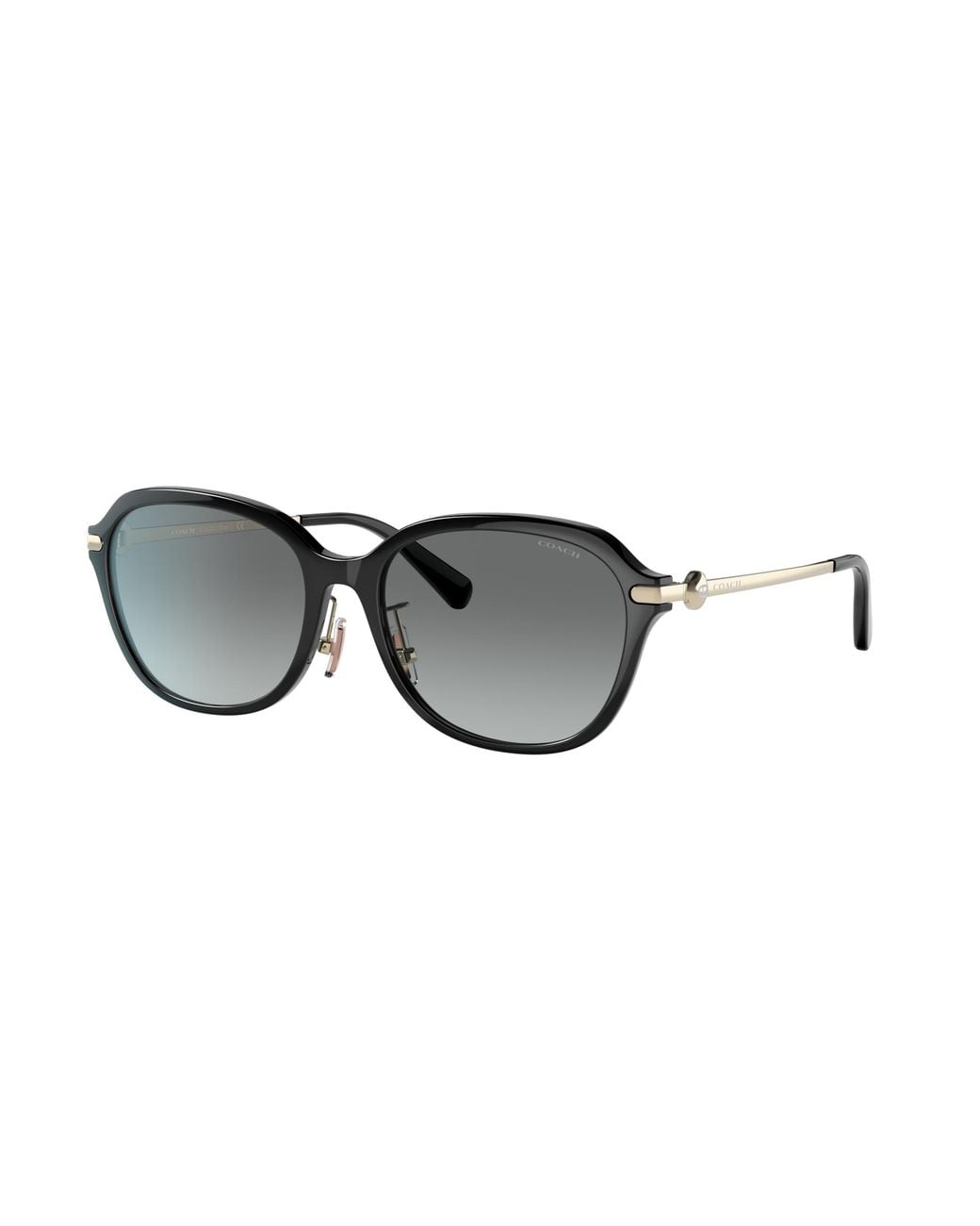 COACH Black Sunglass C6199