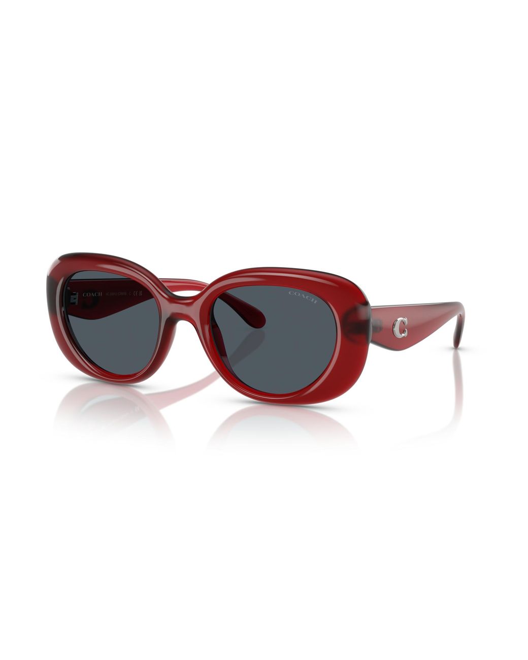 COACH Black Sunglass Cr609