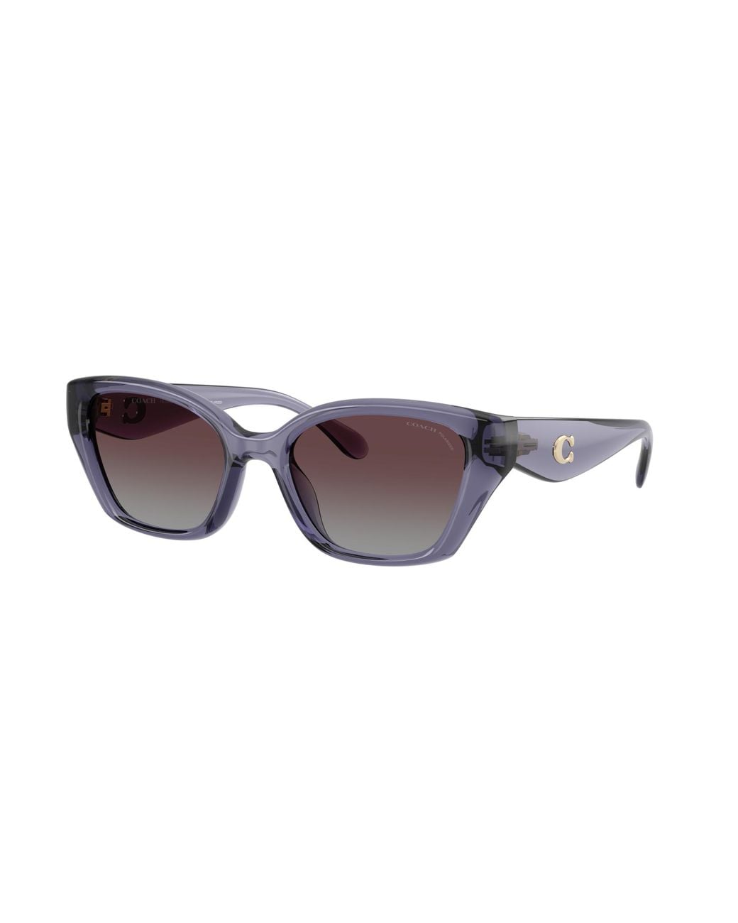 COACH Black Sunglass Cby91