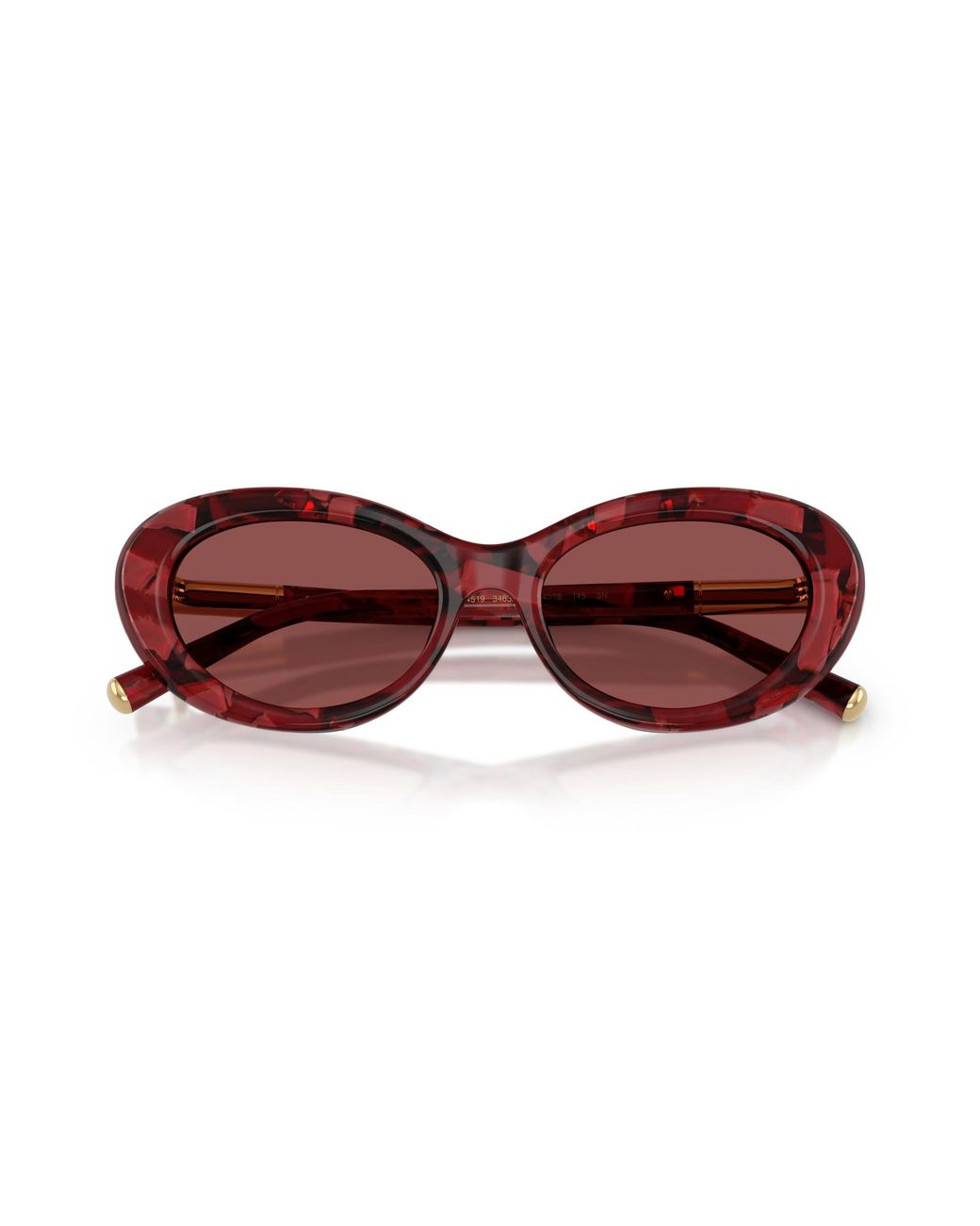 Dolce & Gabbana Black Sunglass Dg4519