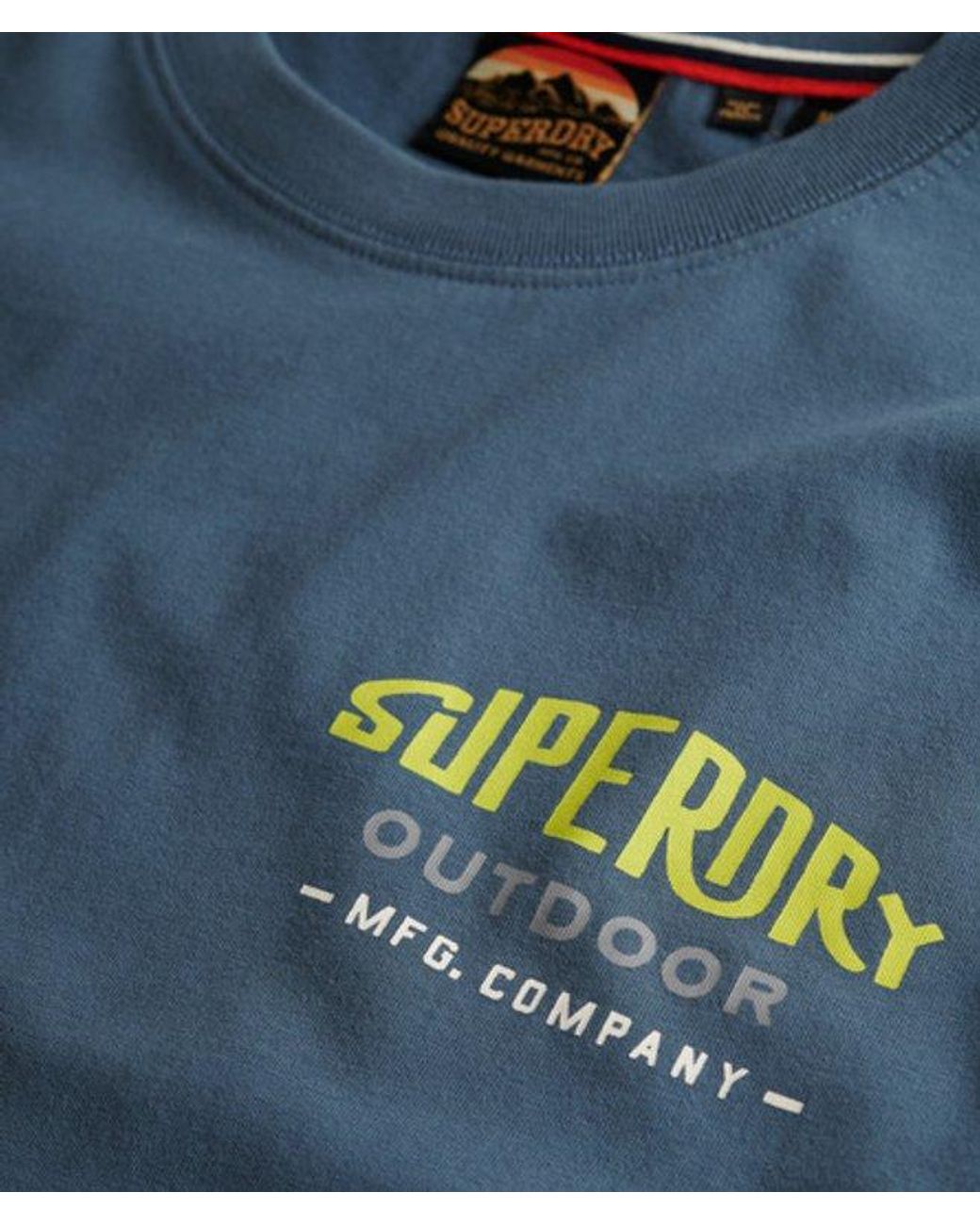 Superdry Blue & Co Mountain Relaxed T-shirt for men