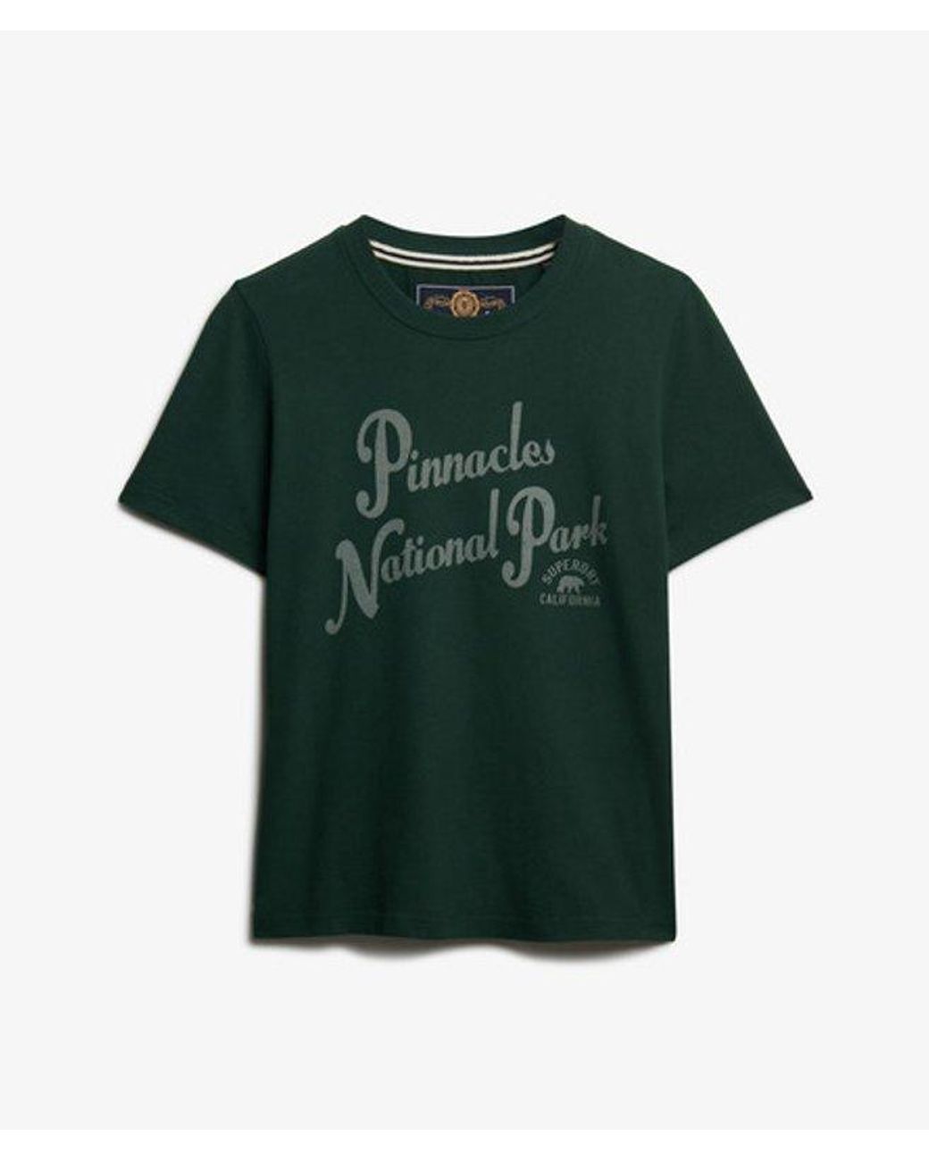 Superdry Green Lo-Fi Outdoors Relaxed T-Shirt