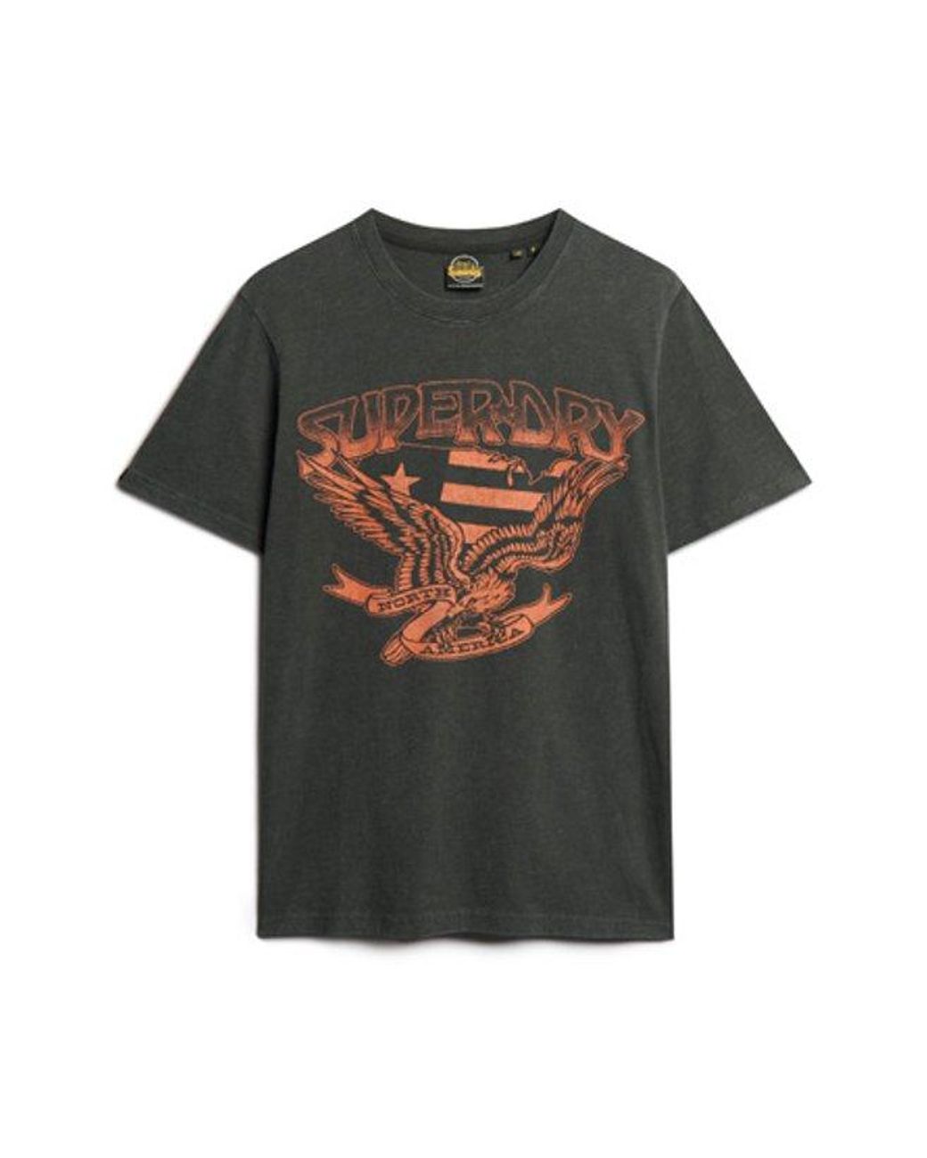 Superdry Brown & Co Classic Graphic Print 70s Lo-fi Band T-shirt for men