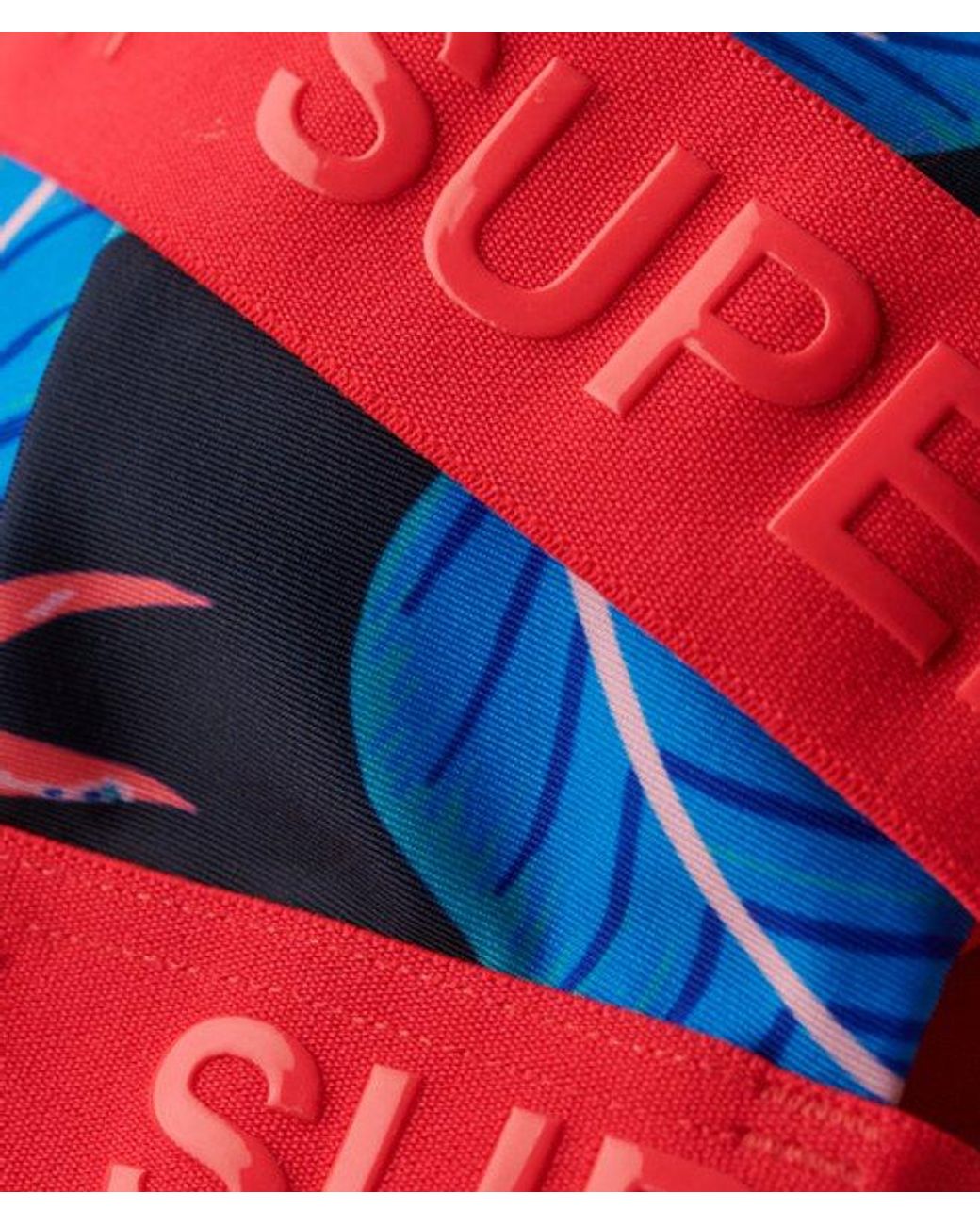 Superdry Blue & Co Logo Triangle Bikini Top