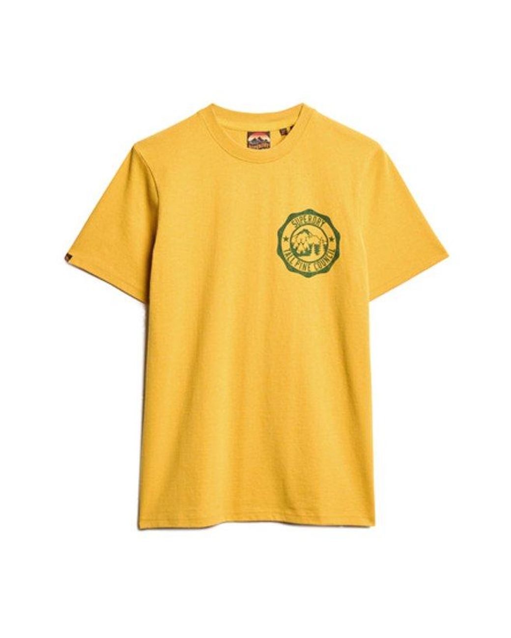 Superdry Blue Oversized Outdoor Graphic T-shirt