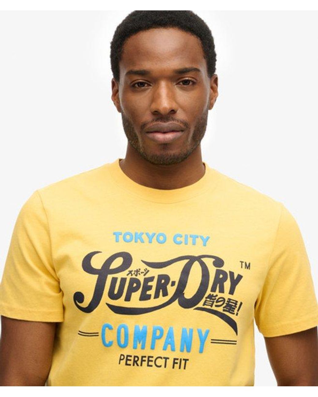 Superdry Metallic & Co Perfect Fit Script T-shirt for men