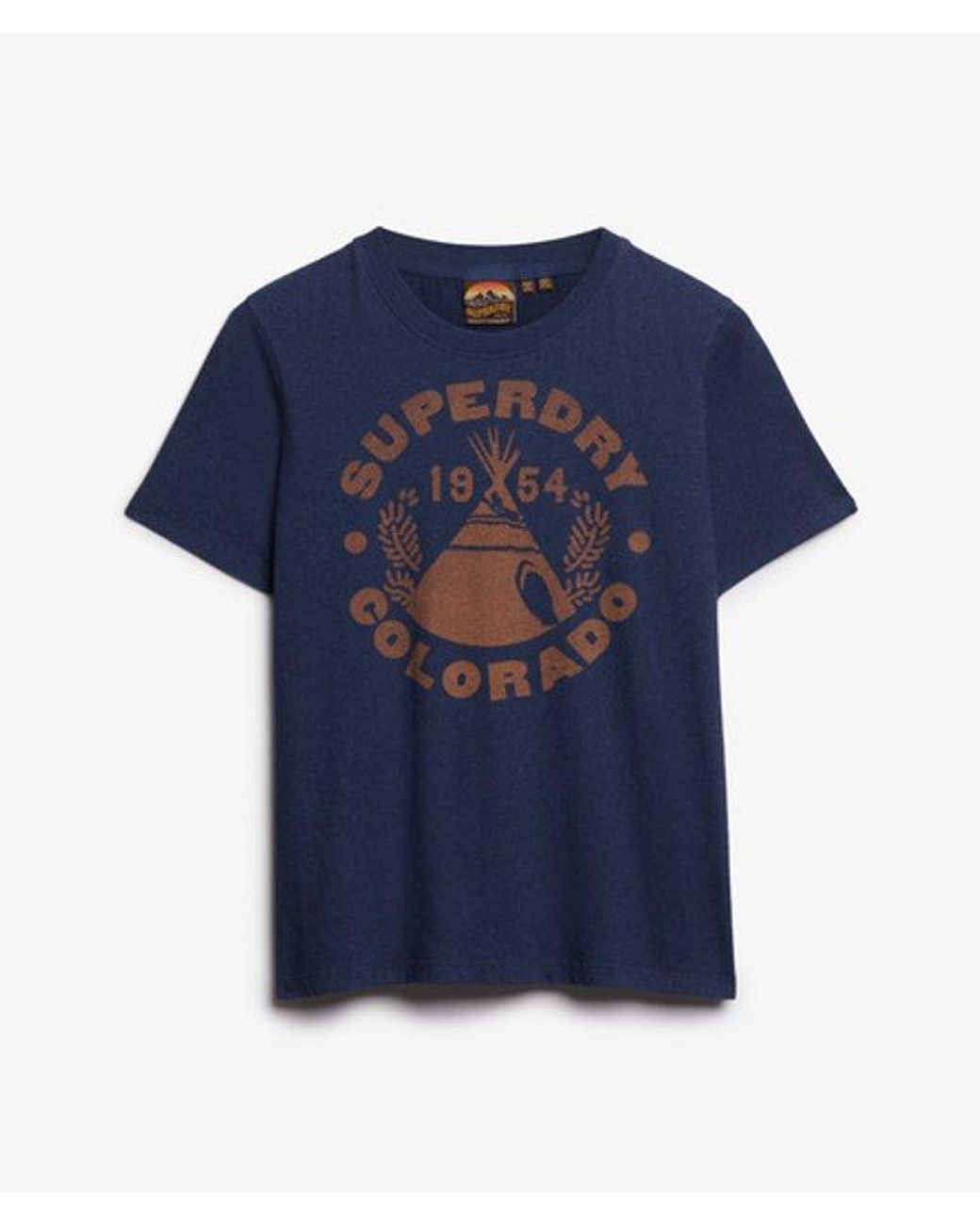Superdry Blue Lo-Fi Outdoor Mono Relaxed T-Shirt